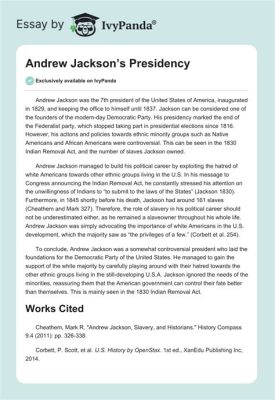 how democratic was andrew jackson essay on the impact of his presidency on american democracy