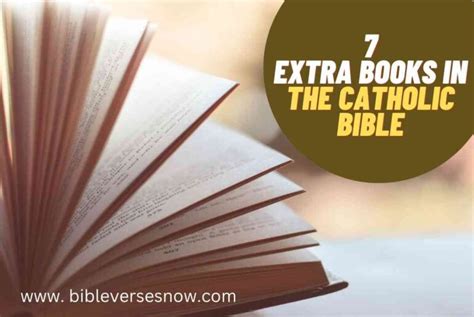 Who Wrote the 7 Extra Books in the Catholic Bible: A Diverse Perspective